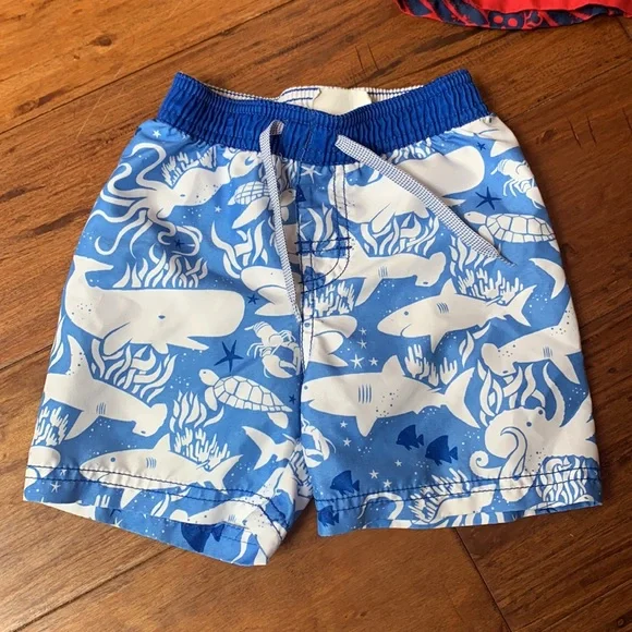 Swim Trunks - Picture 7 of 16